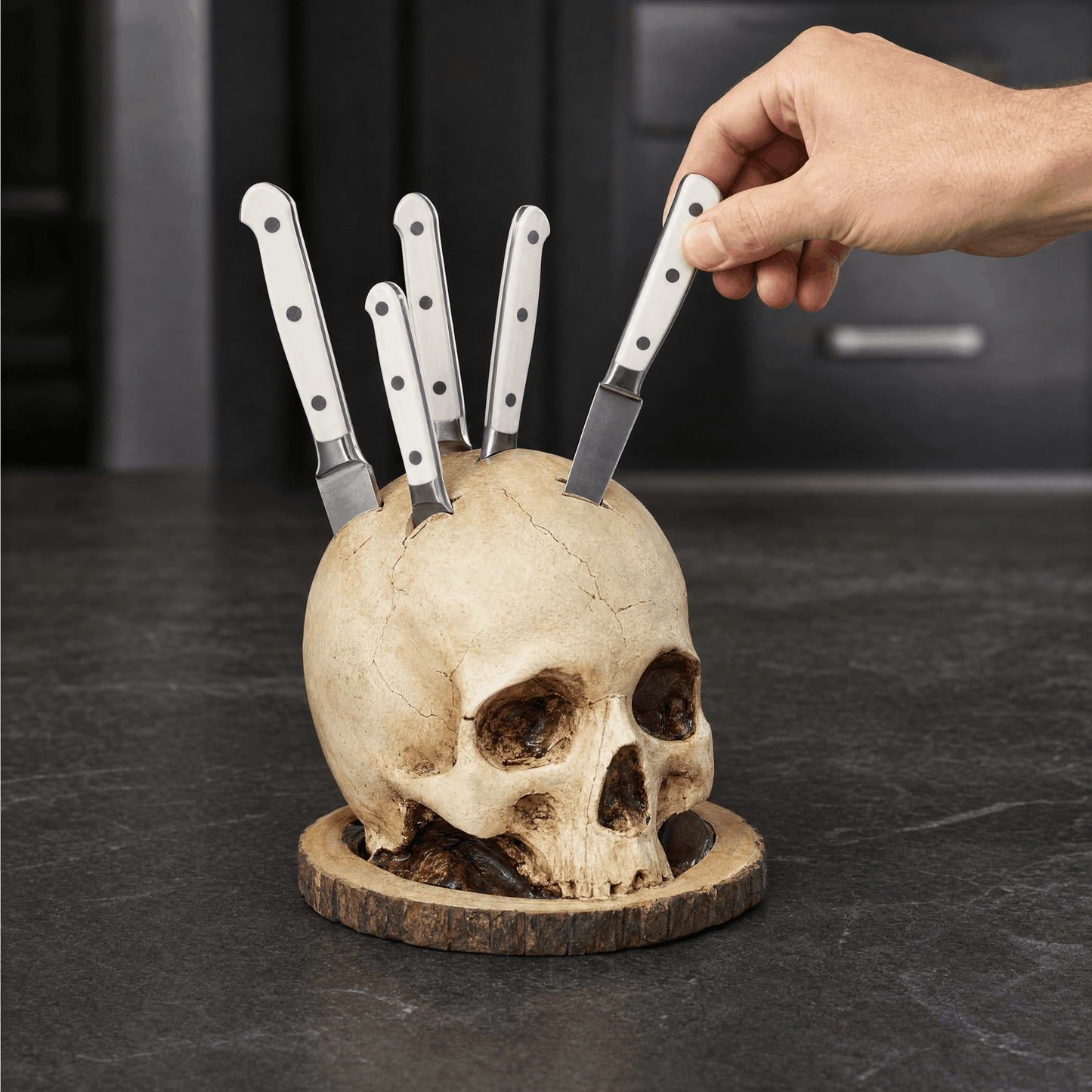 Skull Knife Holder